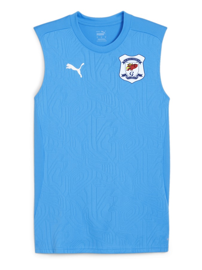 PUMA teamFINAL Trainingstanktop