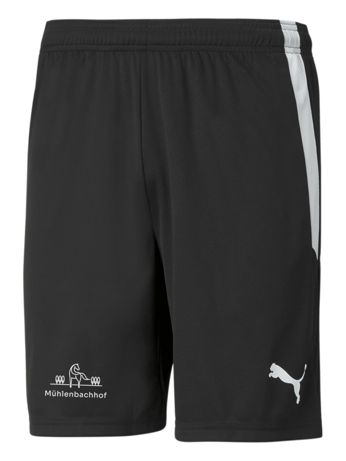 PUMA teamLIGA Shorts