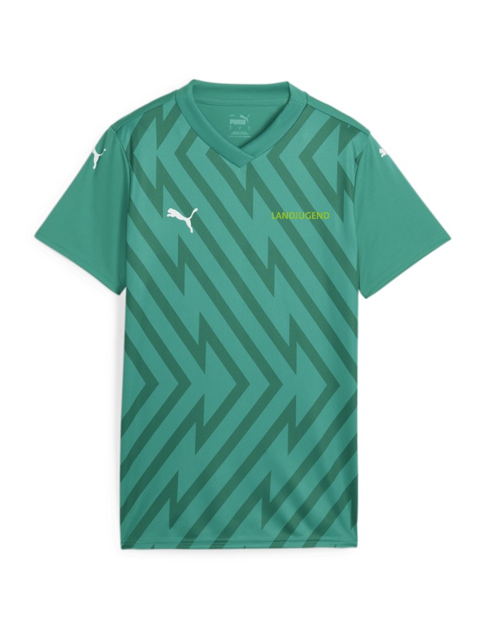 PUMA teamGLORY Trikot Damen
