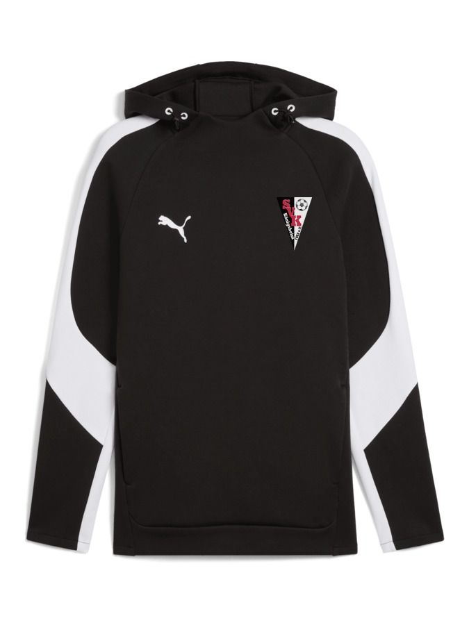 PUMA teamEVOSTRIPE Hoody