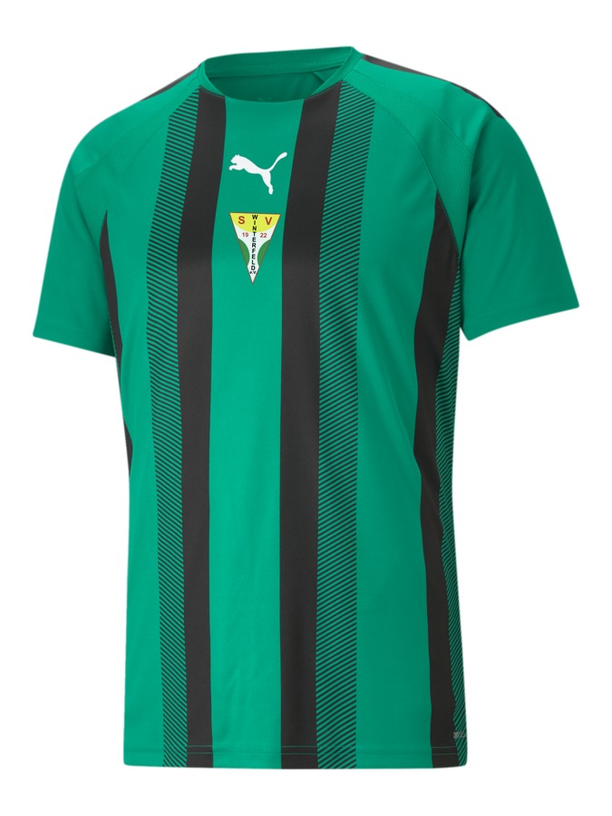PUMA teamLIGA Striped Trikot