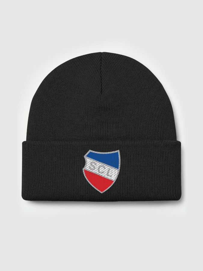 Beanie Kids Sticklogo