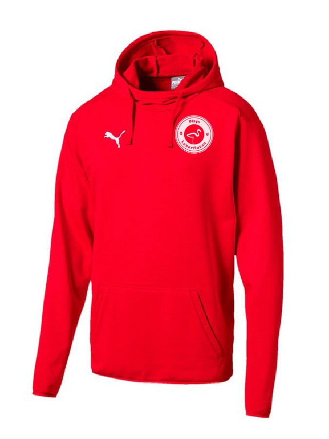 Puma Liga Casuals Hoody