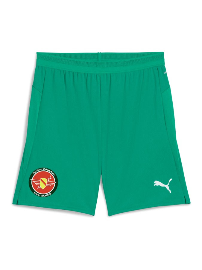 PUMA teamCUP Shorts
