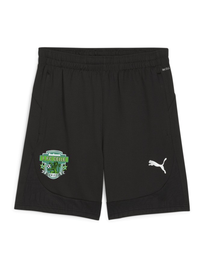 PUMA teamFINAL Training Shorts