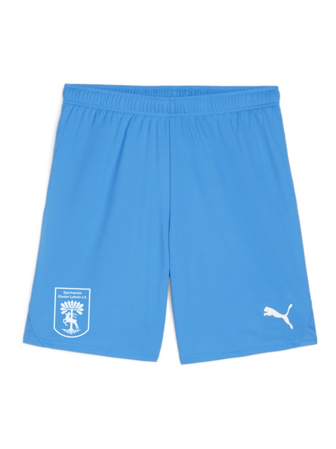 PUMA teamGOAL Shorts