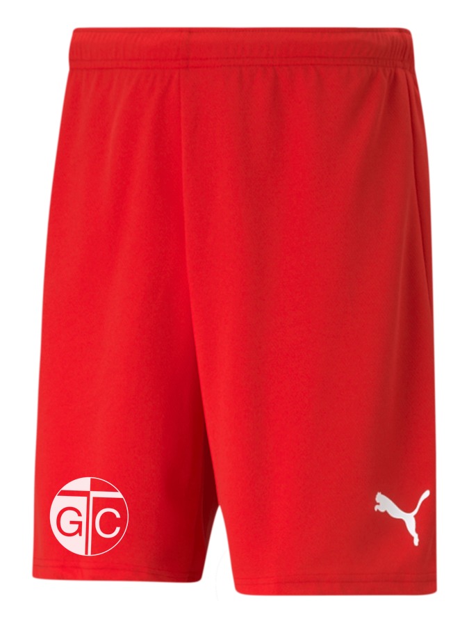 PUMA teamRISE Short