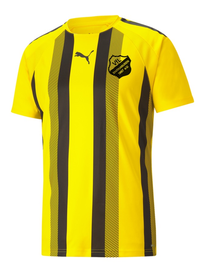 PUMA teamLIGA Striped Trikot