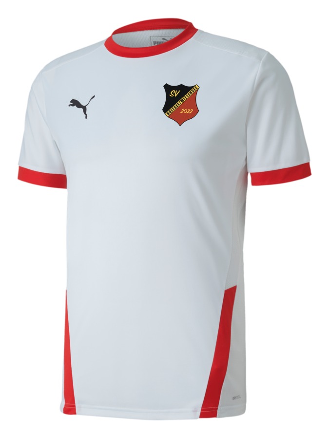 PUMA teamGOAL 23 Trikot