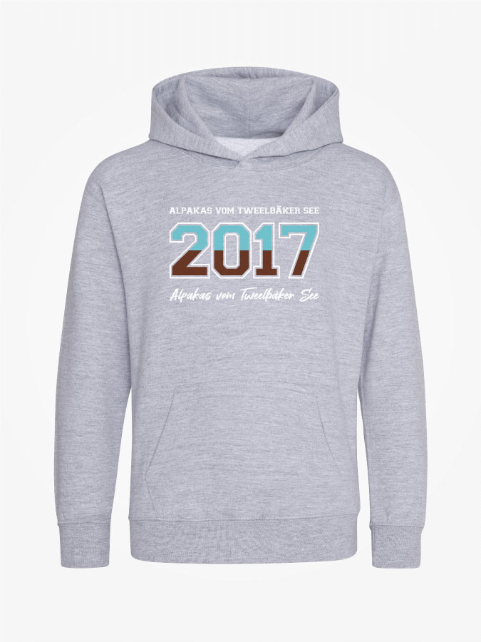 Hoodie Established Kids