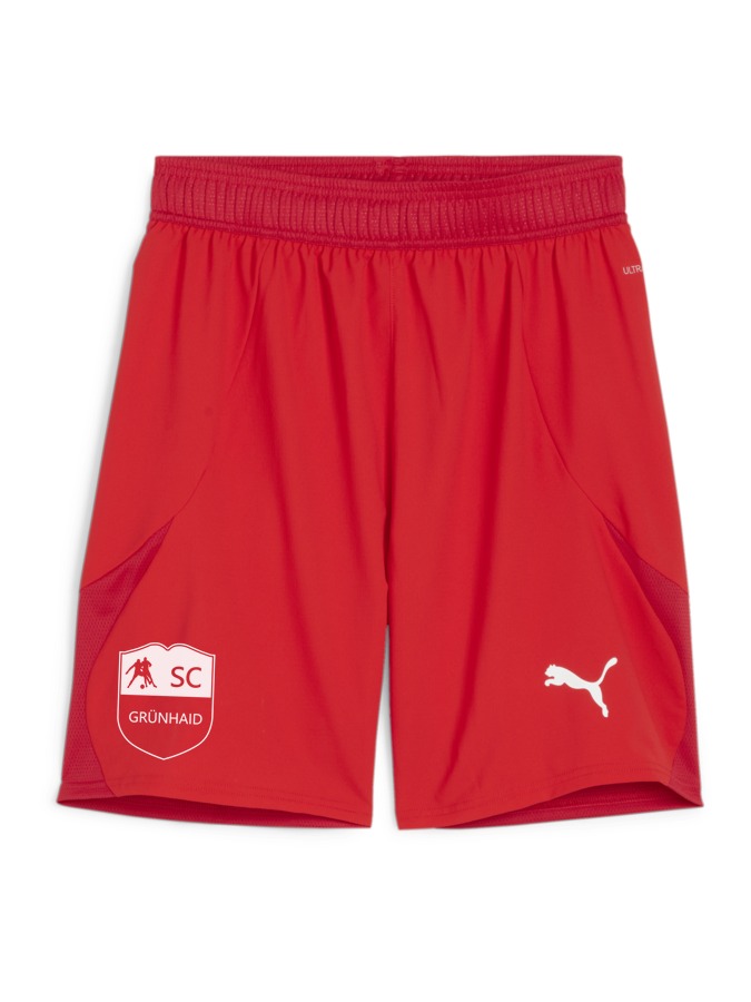 PUMA teamFINAL Shorts