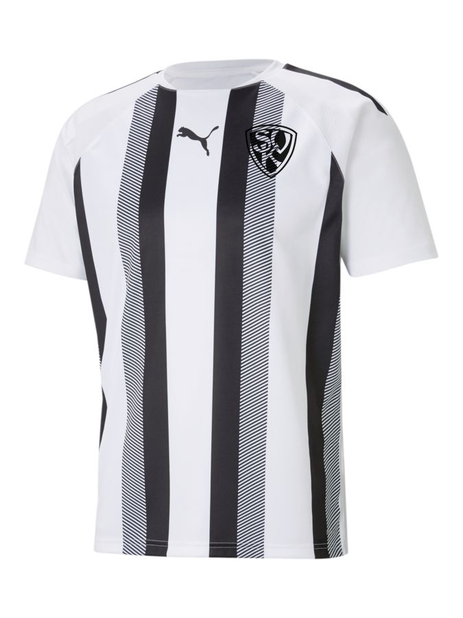 PUMA teamLIGA Striped Trikot