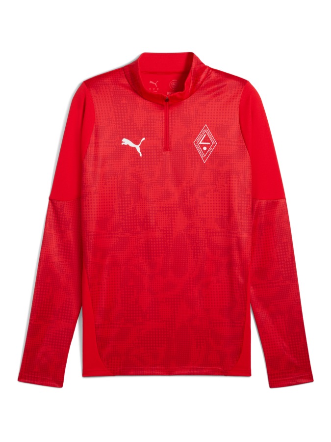 PUMA teamCUP Training 1/4-Zip-Top