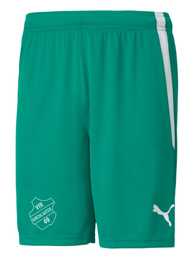 PUMA teamLIGA Shorts