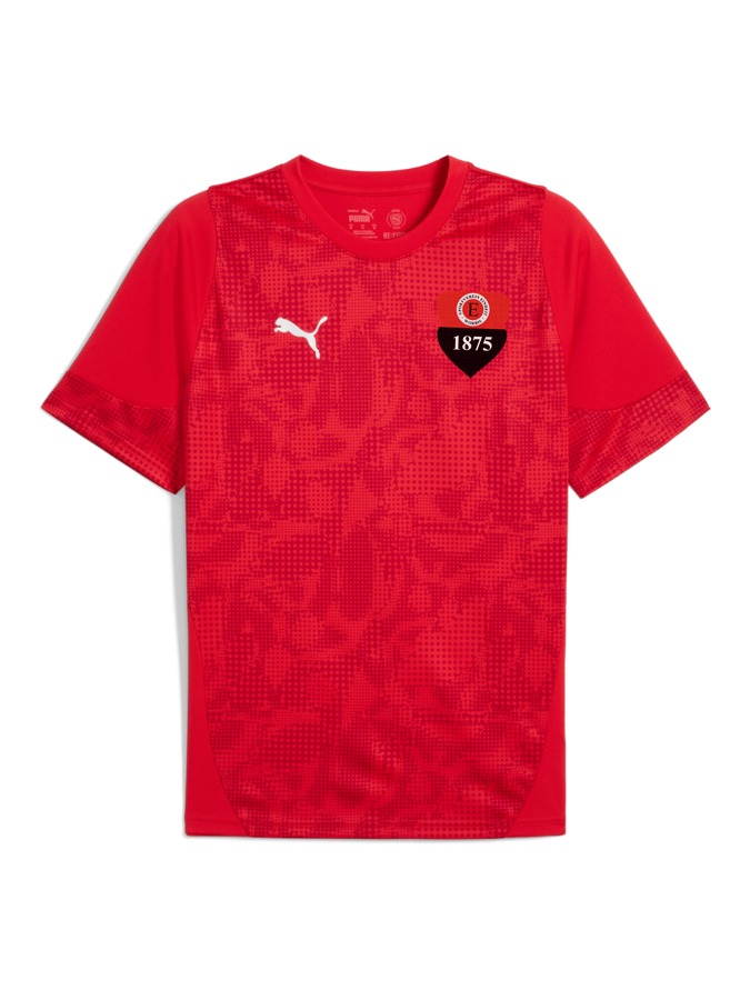 PUMA teamCUP Trainingsshirt
