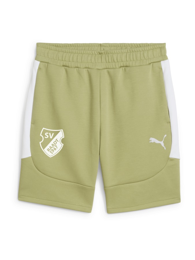PUMA teamEVOSTRIPE Shorts