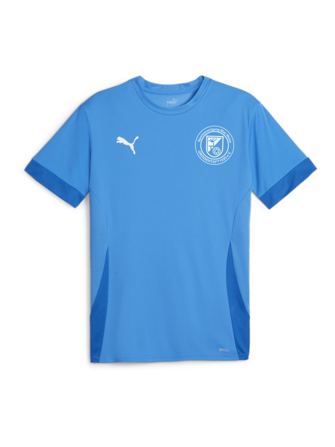 PUMA teamGOAL Matchday Trikot