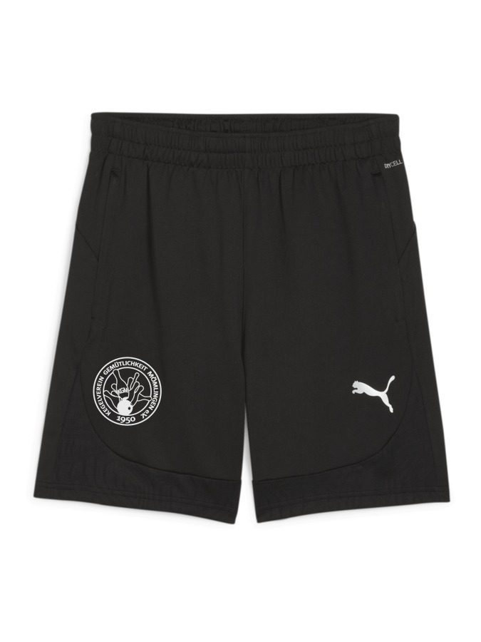 PUMA teamFINAL Training Shorts
