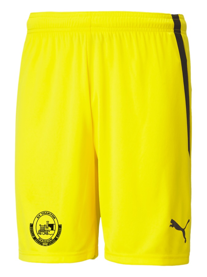 PUMA teamLIGA Shorts