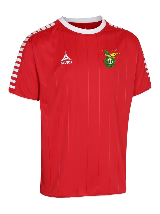 Select Argentina Trikot
