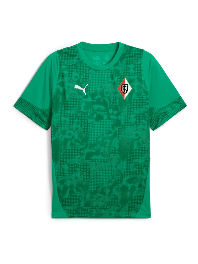 PUMA teamCUP Trainingsshirt