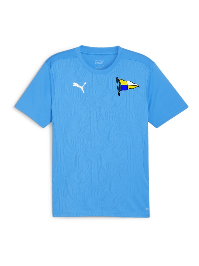 PUMA teamFINAL Trainingsshirt