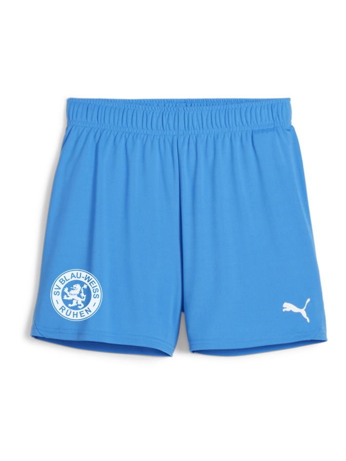 PUMA teamGOAL Handballshorts Damen