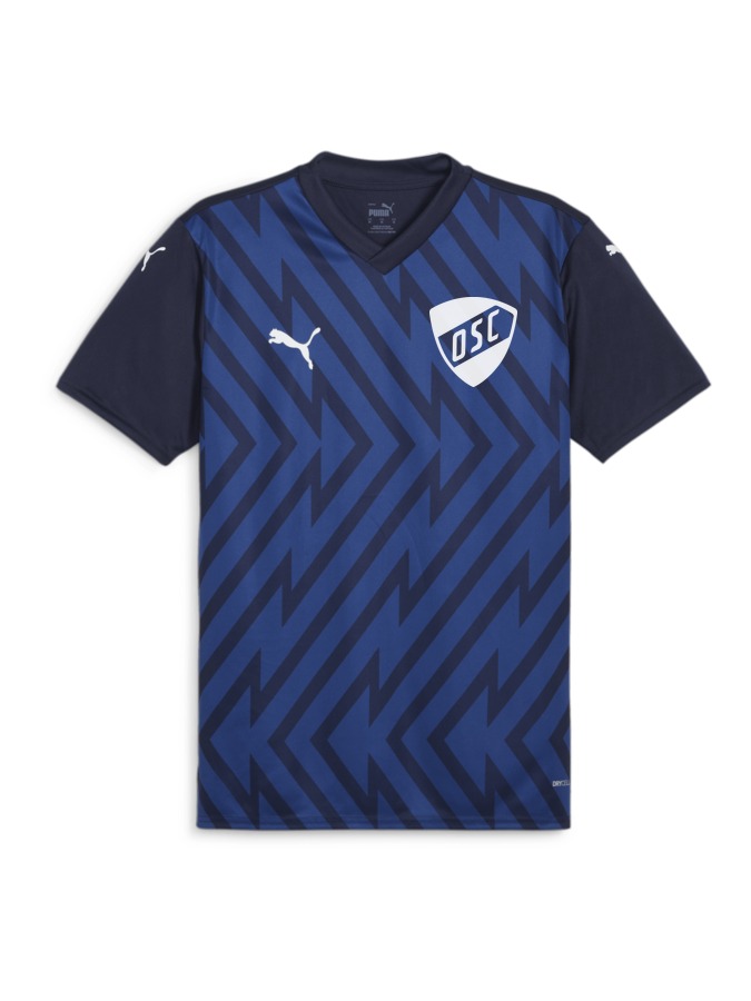 PUMA teamGLORY Trikot