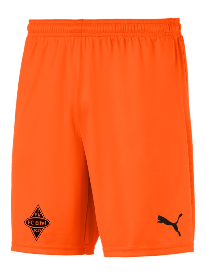 PUMA teamGOAL 23 Knit Shorts