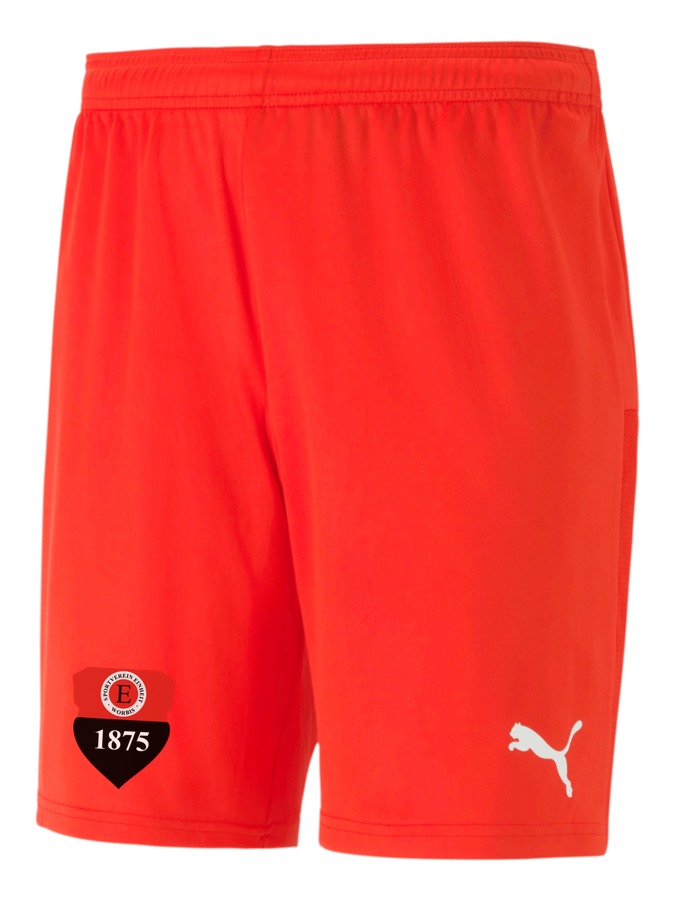 PUMA teamGOAL 23 Knit Shorts