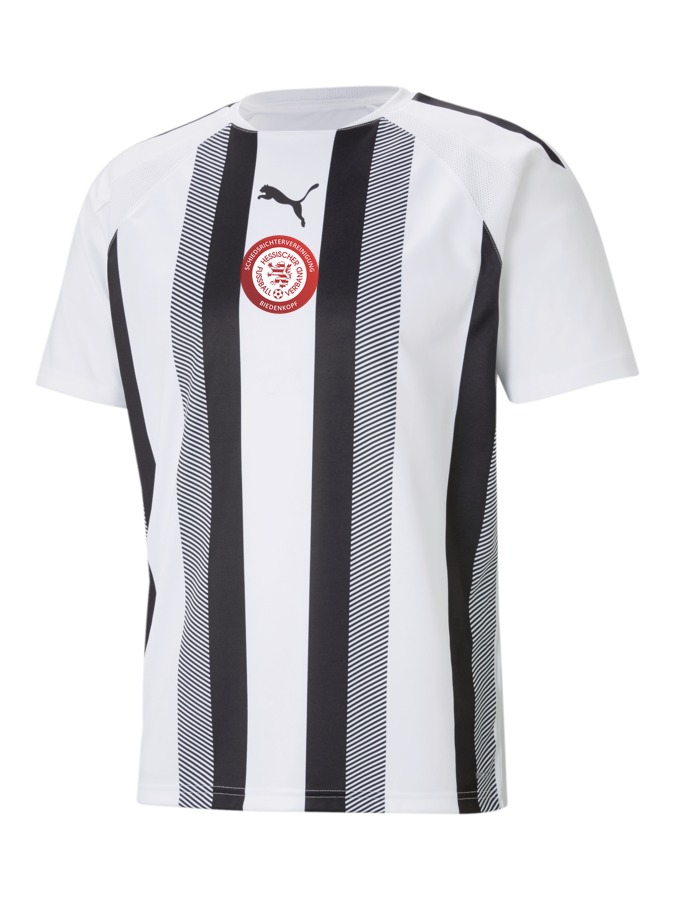 PUMA teamLIGA Striped Trikot