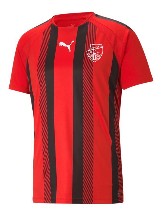 PUMA teamLIGA Striped Trikot