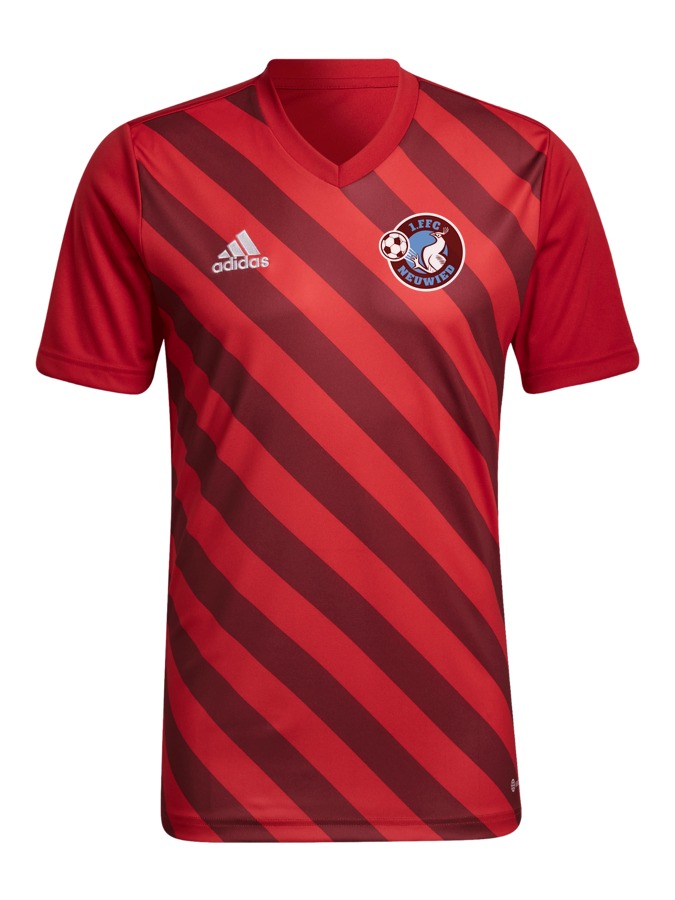 adidas Entrada 22 GFX Trikot