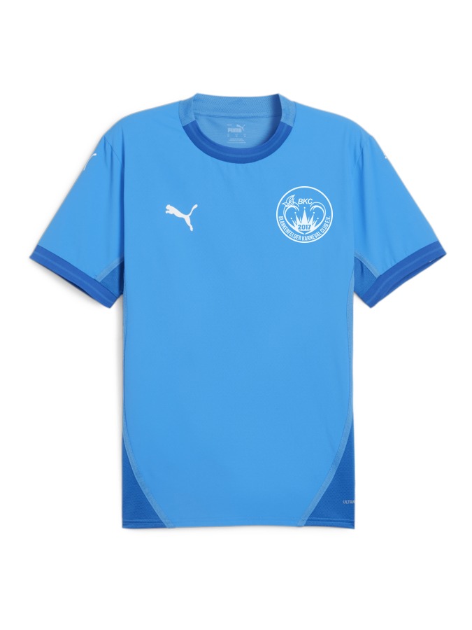 PUMA teamFINAL Trikot