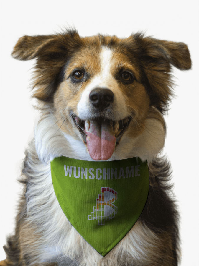 Hundehalstuch