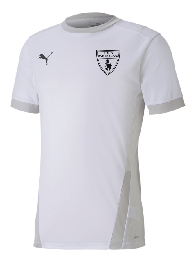 PUMA teamGOAL 23 Trikot