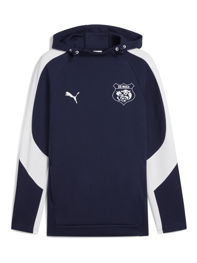 PUMA teamEVOSTRIPE Hoody