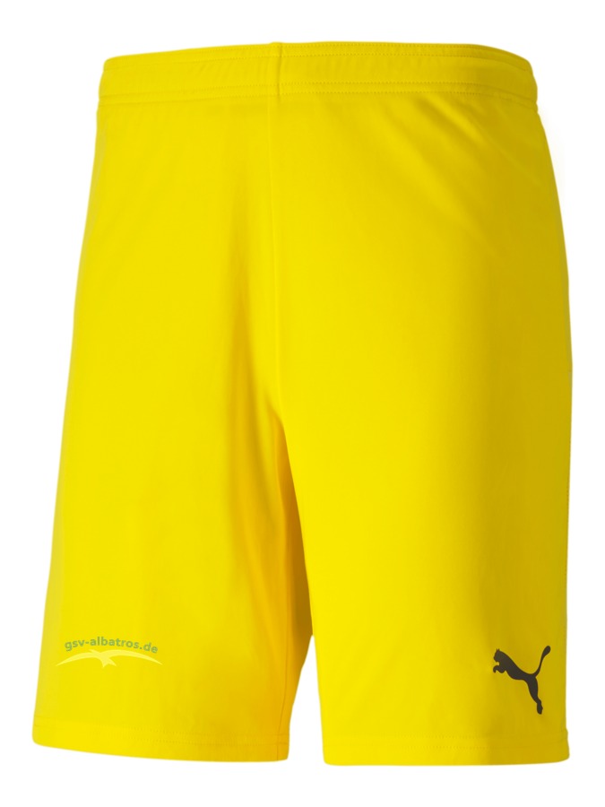 PUMA teamGOAL 23 Knit Shorts