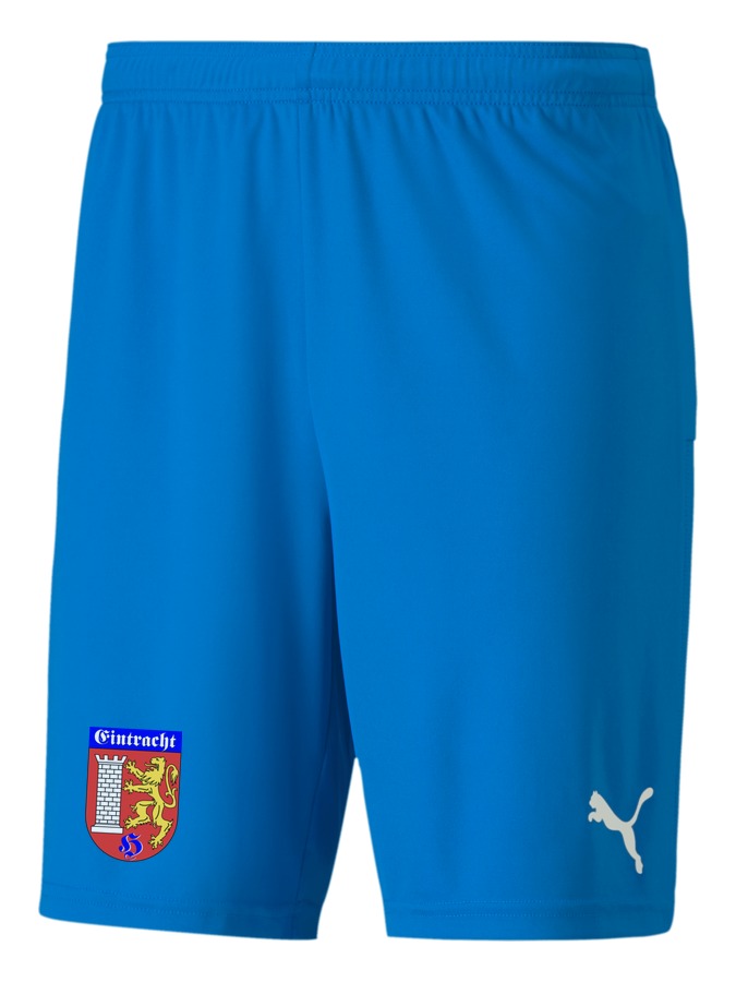 PUMA teamGOAL 23 Knit Shorts