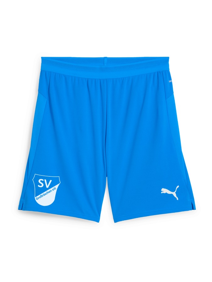 PUMA teamCUP Shorts