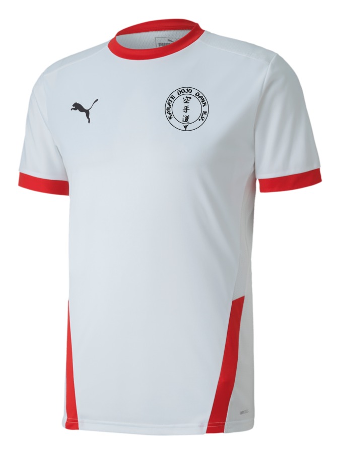 PUMA teamGOAL 23 Trikot