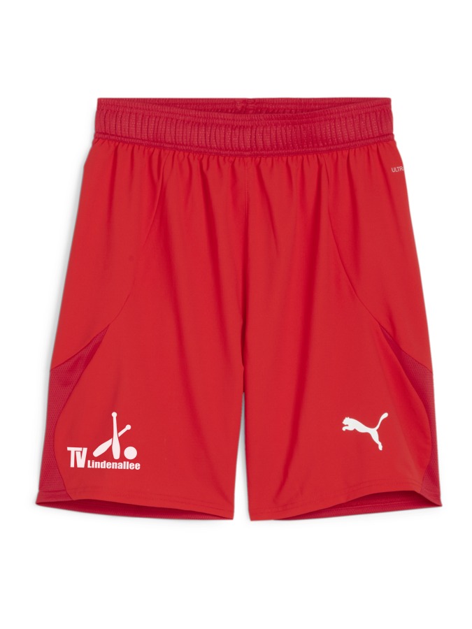 PUMA teamFINAL Shorts