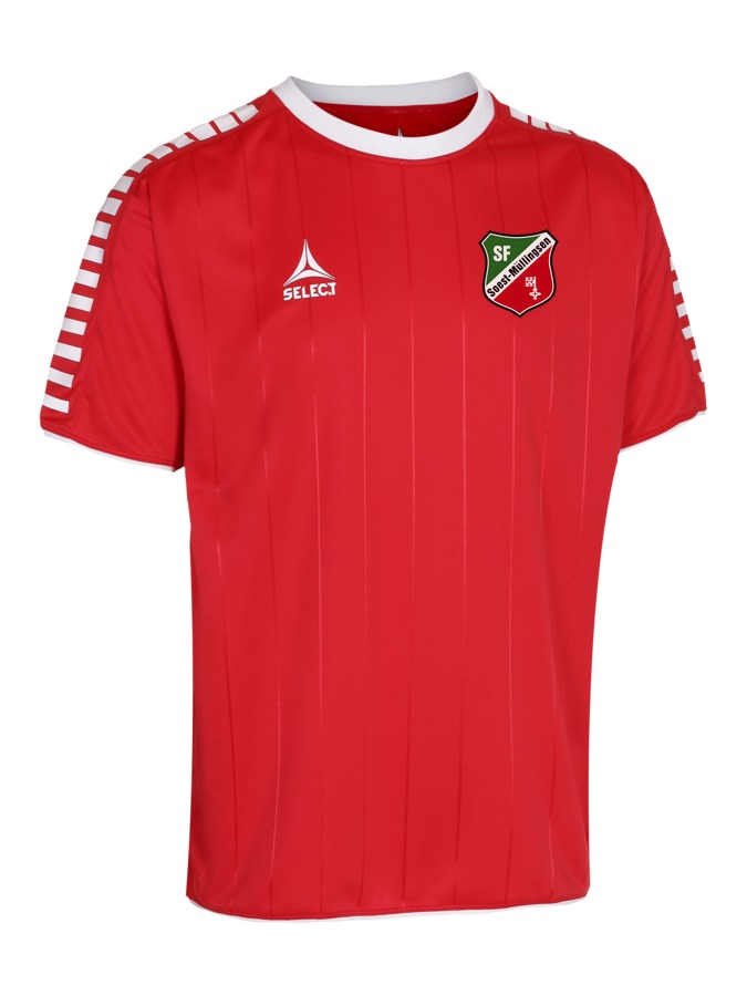 Select Argentina Trikot