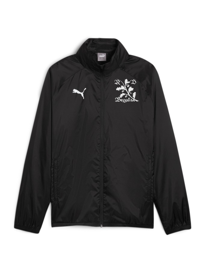 PUMA teamGOAL Allwetterjacke