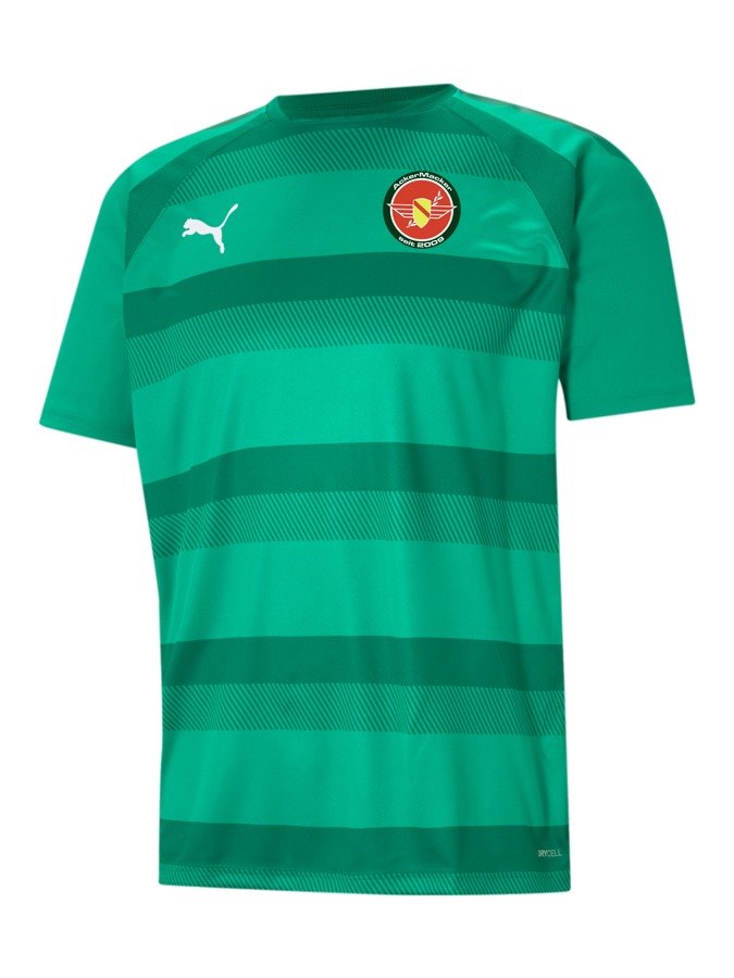 PUMA teamVISION Trikot