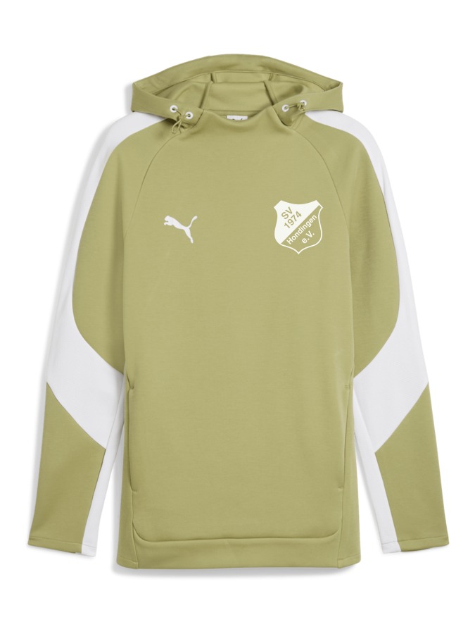 PUMA teamEVOSTRIPE Hoody