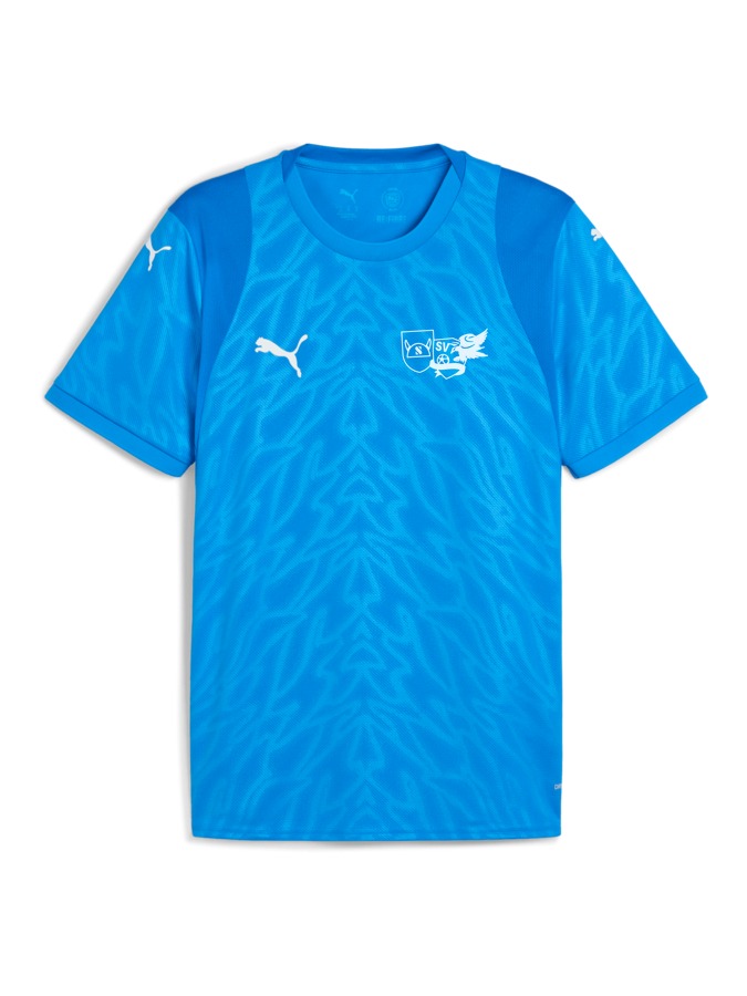 PUMA teamCUP Trikot