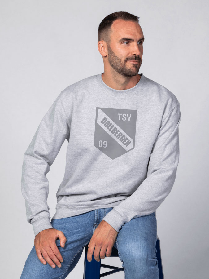 Sweater All Grey Herren
