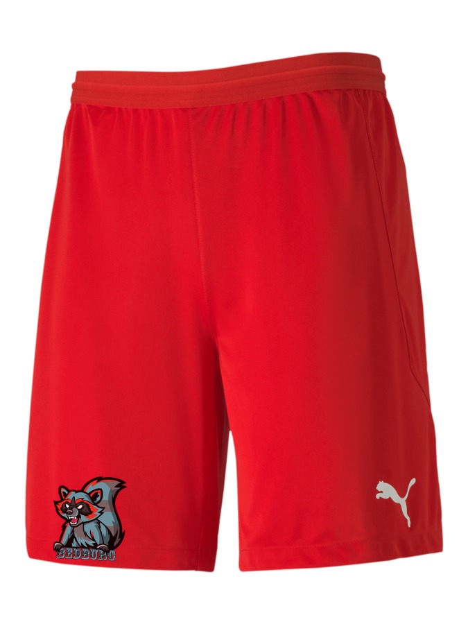 PUMA teamFINAL 21 Knit Shorts