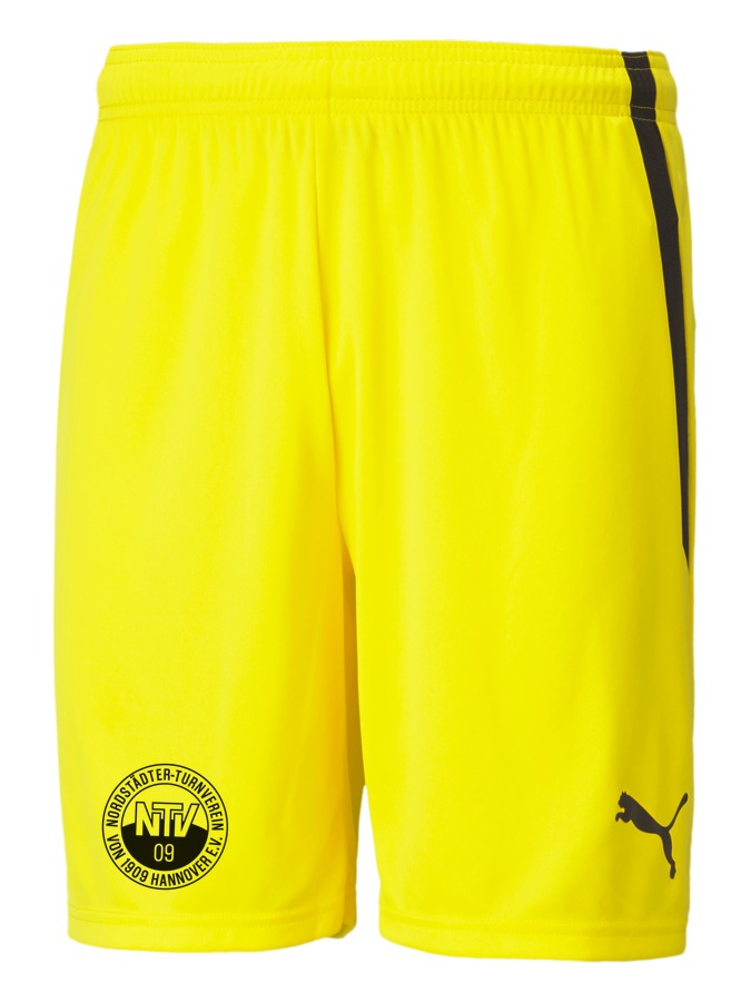 PUMA teamLIGA Shorts